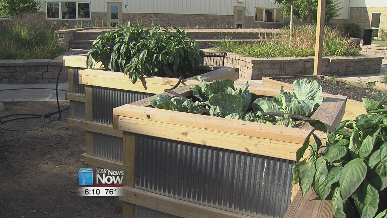 Vantage Career Center Community Garden 1.jpg